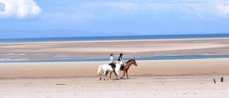 Plage à proximité