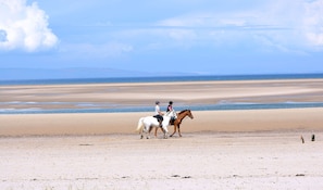 Plage à proximité