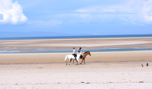 Luxurious Modern comfortable Apartments located Nairn in the Scottish Highlands