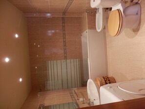 Dusche, Whirlpool, Haartrockner, Bidet
