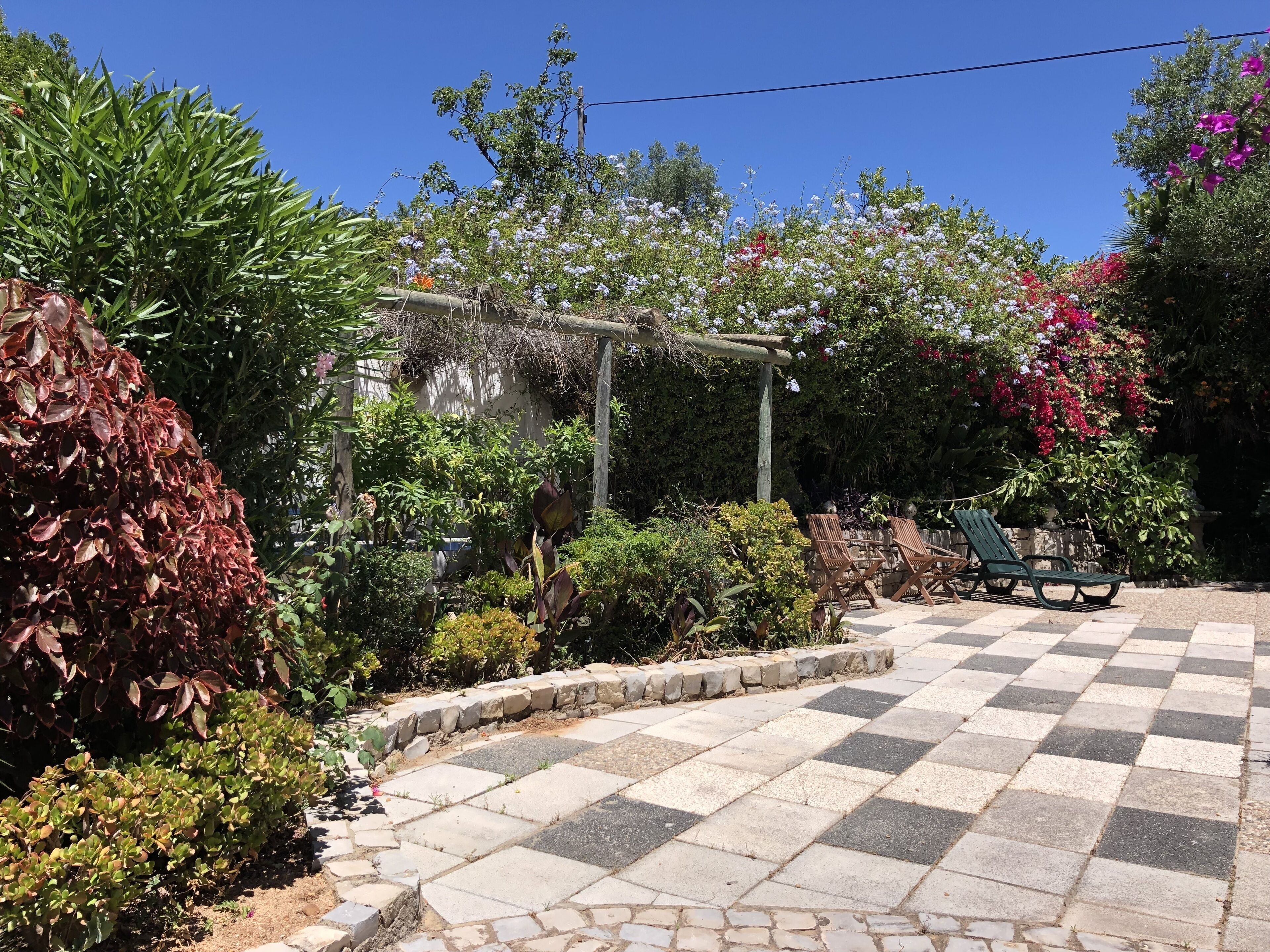 Un giardino con una pergola, diverse piante e un patio a scacchi.