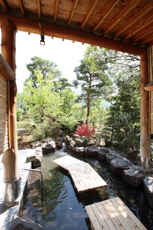 Servicio de la propiedad. Seifuen