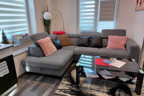 TV, DVD player, books