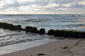 Beach nearby - Wendinghüs Ap. 4 **** DTV stars with direct sea view, pets welcome (Wenningstedt)