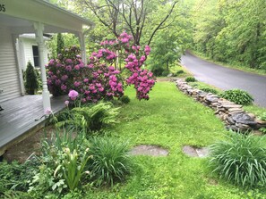 A house with a porch, a garden with pink flowers, and a stone wall along the road. - Big farmhouse in the foothills of the Berkshires (Russell)