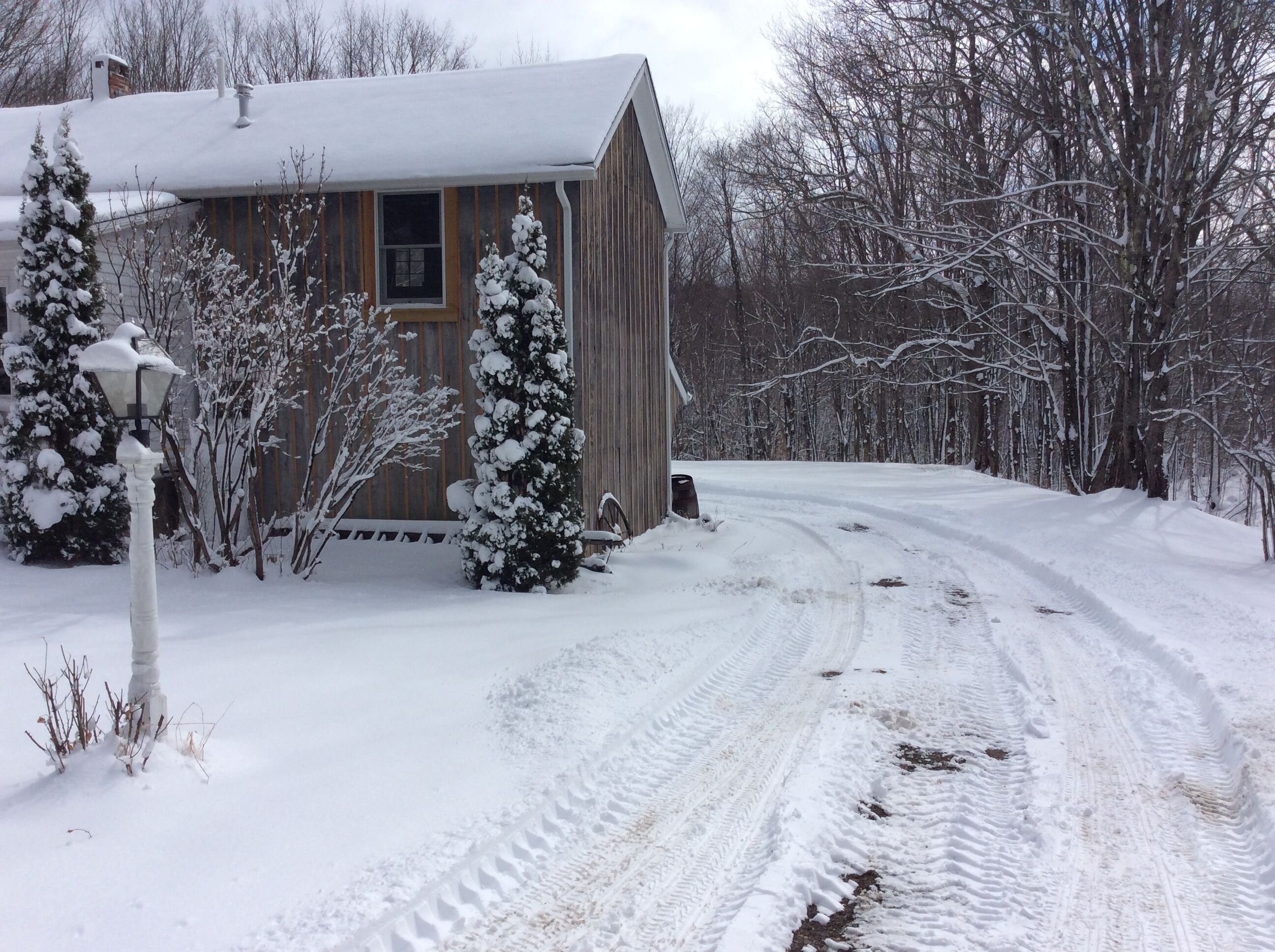 A wooden cabin with a snow-covered roof, surrounded by snow-laden trees and a clear path leading to the entrance.