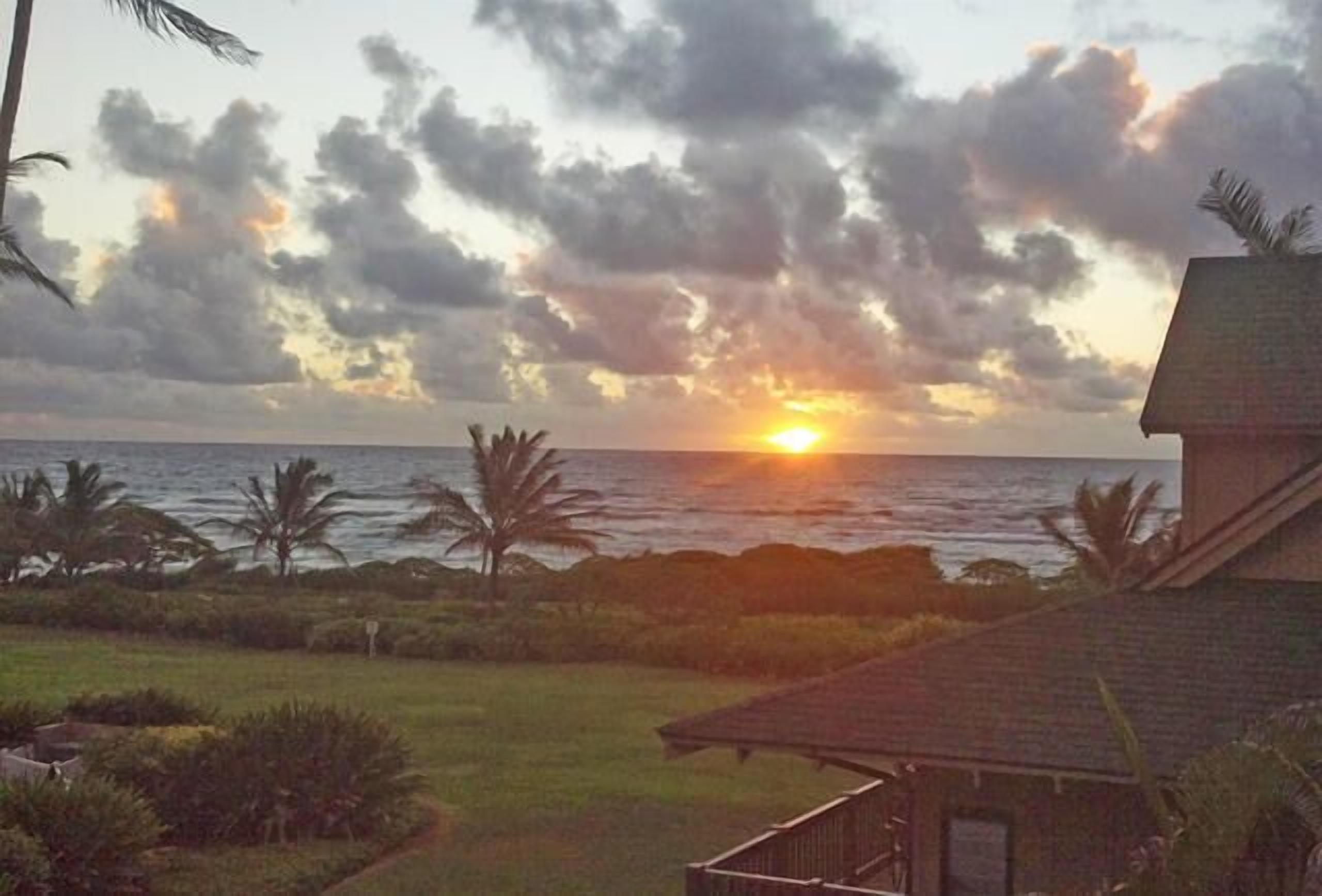 Vista al atardecer desde una casa con vista al océano, palmeras y un área verde.