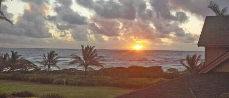 Vista al atardecer desde una casa con vista al océano, palmeras y un área verde.