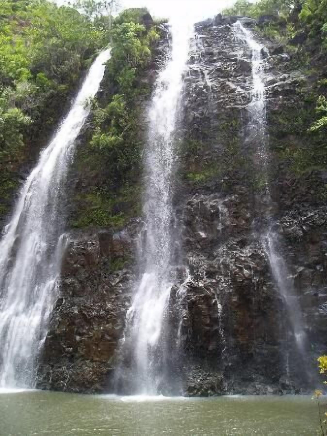 Une cascade d’eau se précipitant le long d’une falaise rocheuse, entourée d’une végétation luxuriante.