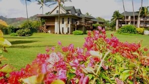 Ein Resort mit einem großen Gebäude, Palmen und einem gepflegten Rasen.