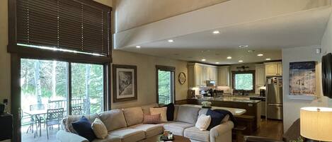 Smart TV, chimenea, reproductor de DVD, libros