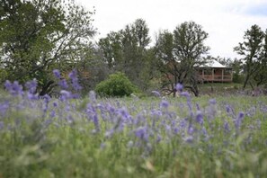 Terrain de lâhĂ©bergement