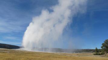 Un geyser dans un champ d’herbes sèches, sous un ciel dégagé.