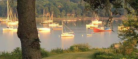 A marina with multiple boats docked, surrounded by greenery and trees.
