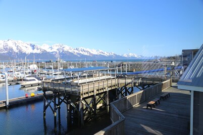 Lovely Dockside Apartment! Located right in the Harbor! 