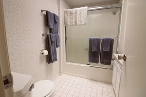 Ensemble douche/baignoire, sèche-cheveux, serviettes fournies