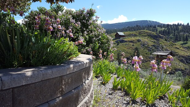 A stone retaining wall with flowering plants and a view of a rural landscape including a wooden house and hills. - Private Rental Suite: Million Dollar View From Your Deck On 12 Acre Property (Osoyoos)