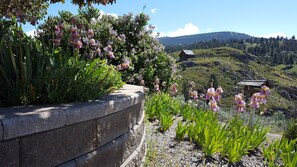 A stone retaining wall with flowering plants and a view of a rural landscape including a wooden house and hills.