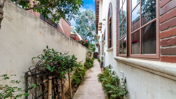 A narrow alleyway with a concrete path flanked by buildings on both sides, featuring a bamboo trellis and various plants. - Charming, Elegant, Luxury, Walk to Moonlight Beach & Downtown (Encinitas)