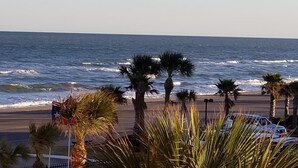 Une plage bordée de palmiers, avec vue sur l’océan.