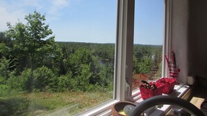 A view from a window overlooking a forested area with a lake, a red basket with utensils, and a steering wheel on a counter.
