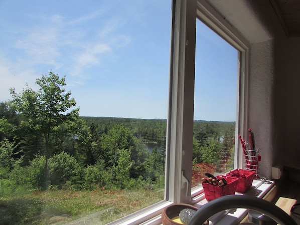 Blick aus einem Fenster auf eine bewaldete Landschaft mit einem See, ein roter Korb mit Besteck und ein Lenkrad auf einer Arbeitsfläche.