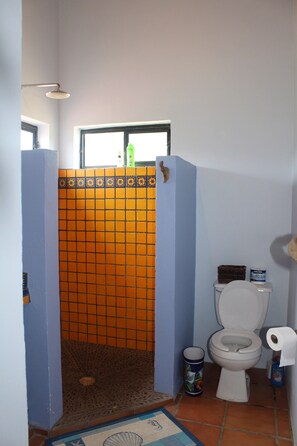Dusche, Haartrockner, Handtücher, Shampoo
