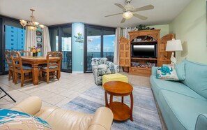 TV, DVD player, books, video library