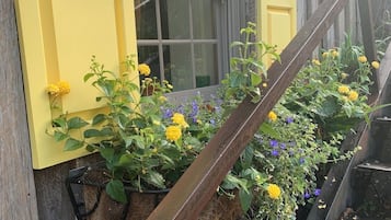 Detalle exterior