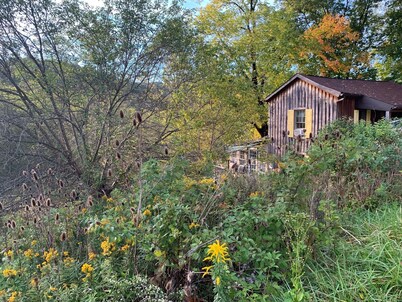 Rustic, Artsy & Cozy Getaway Cabin in Laurel Highlands- minutes from Ligonier 