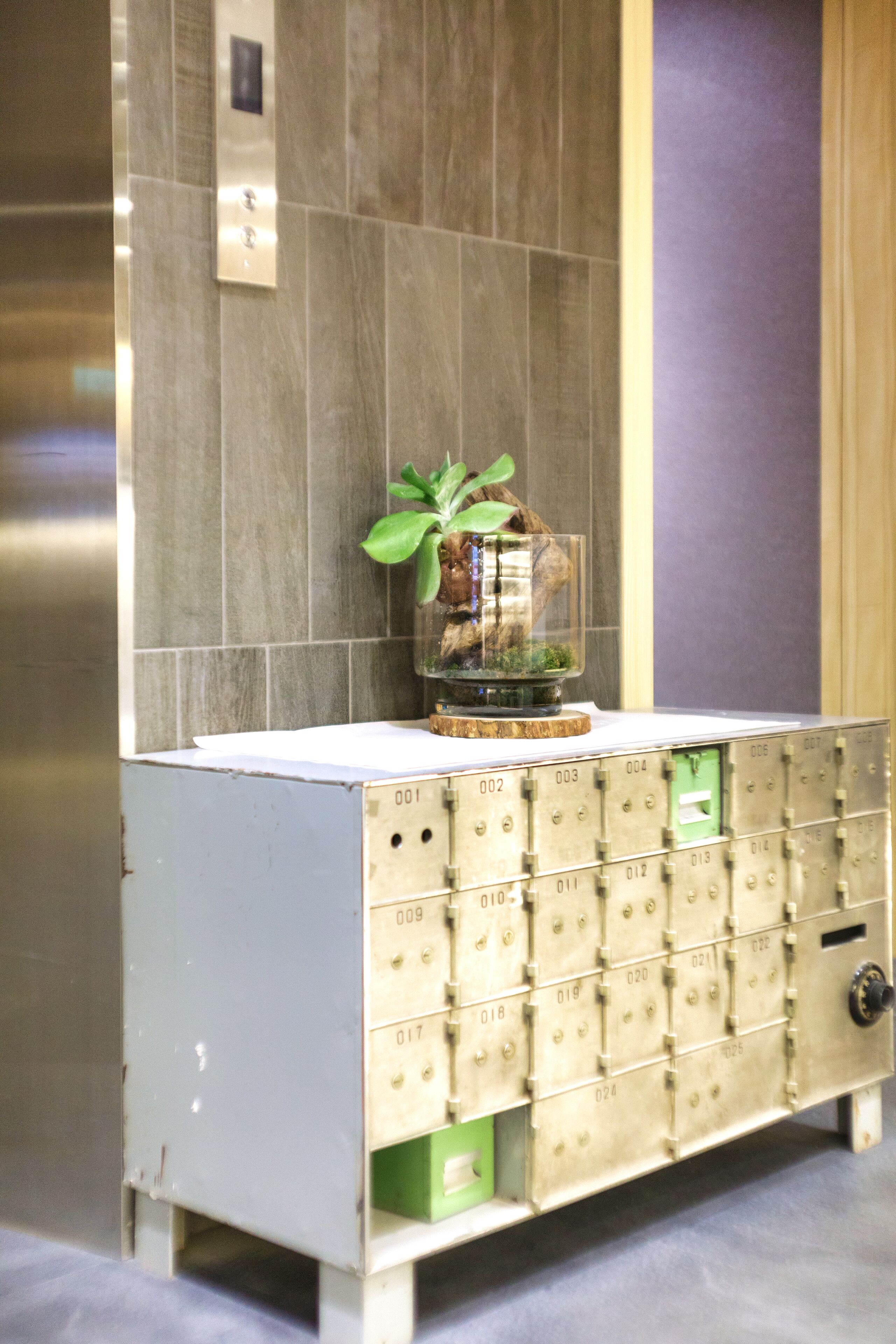 economy single room, shared bathroom | bathroom | hair dryer, slippers, towels, shampoo