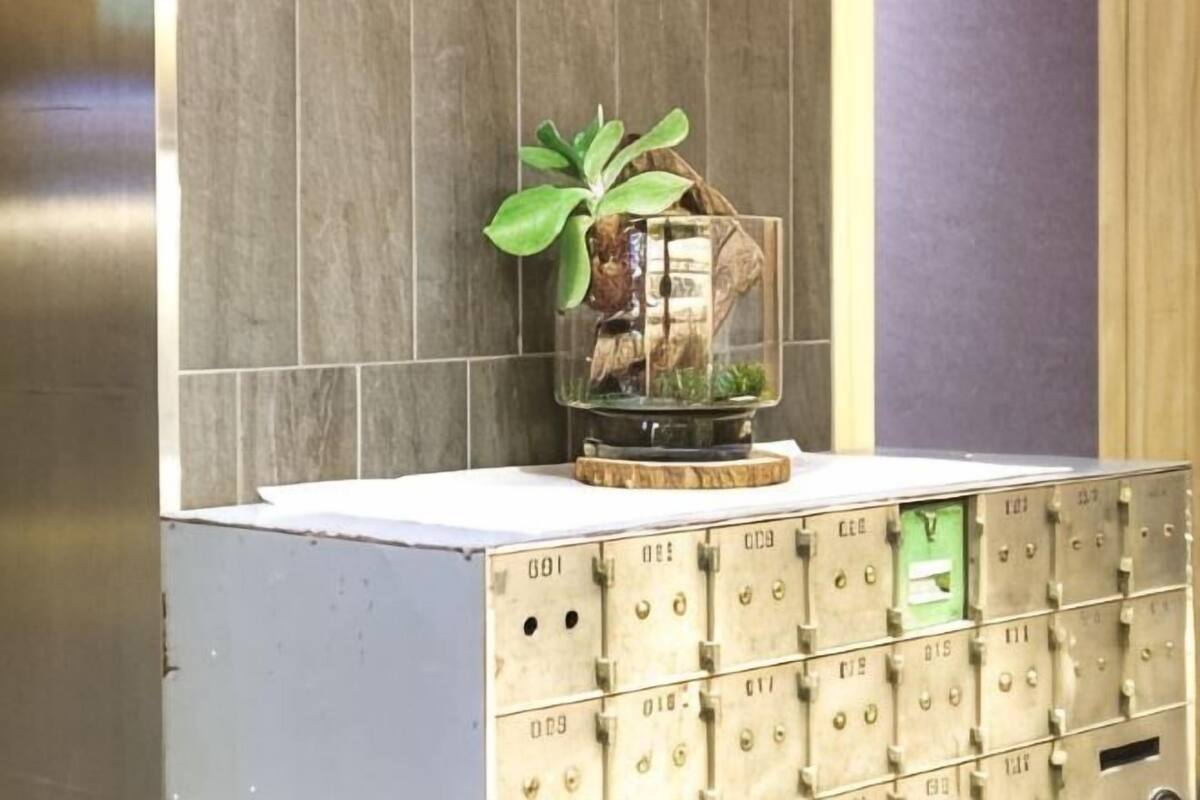 Una caixa forta de metall amb una planta dins un recipient de vidre, damunt d'una paret amb rajoles.