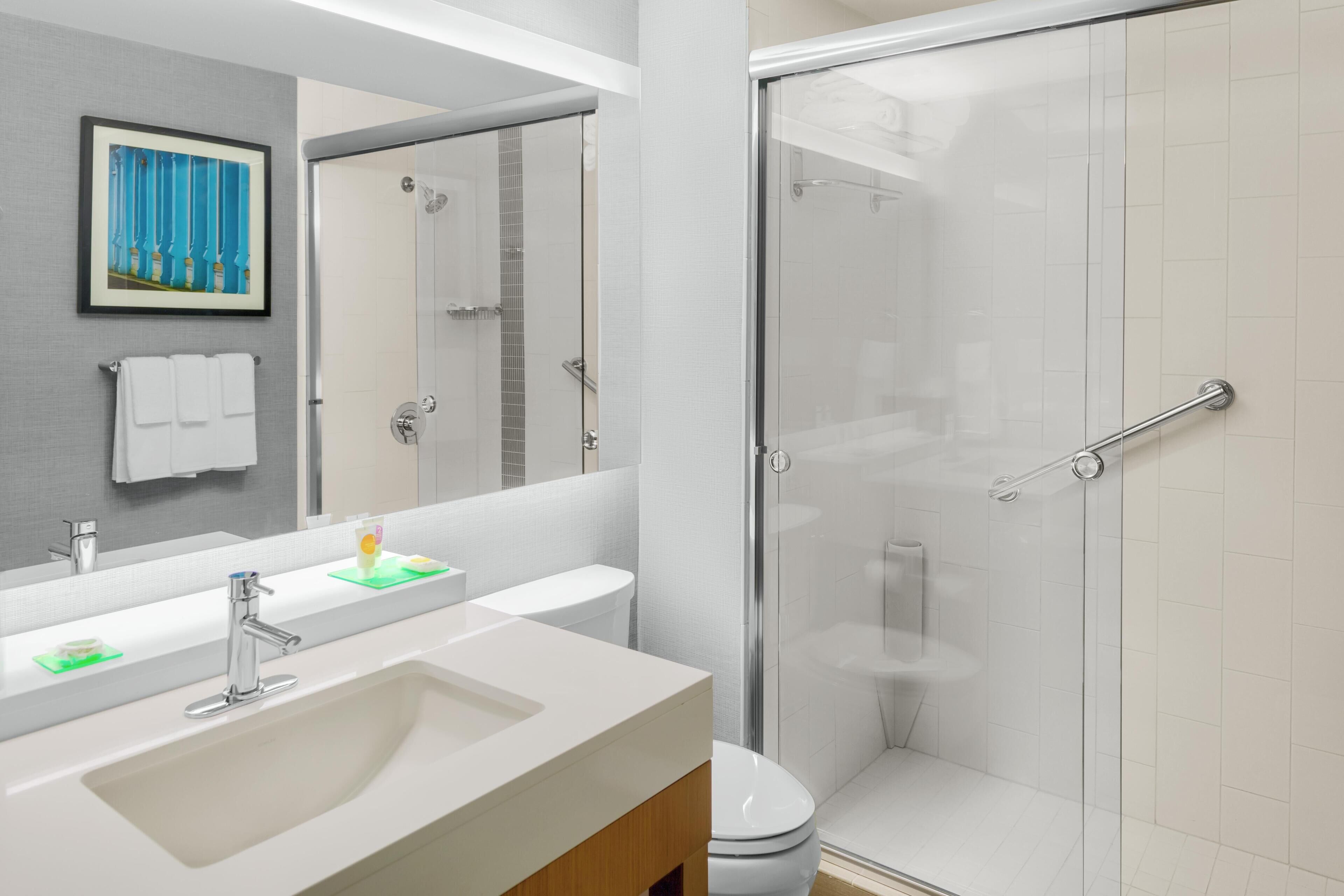 A modern bathroom with a glass shower enclosure, a large mirror, and a white sink.
