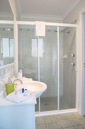 Shower, free toiletries, hair dryer, towels