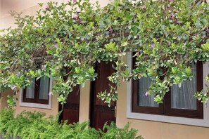 Un bâtiment dont les fenêtres sont recouvertes de plantes grimpantes.