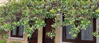 Balira Airport Hotel