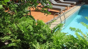 A poolside area with lounge chairs and a swimming pool, surrounded by lush greenery.