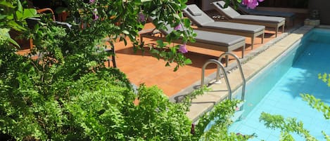 A poolside area with lounge chairs and a swimming pool, surrounded by lush greenery.