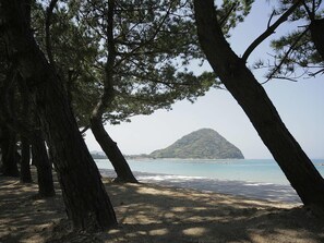 A beach with trees and a mountain in the background. - Hagi Royal Intelligent Hotel (Hagi)