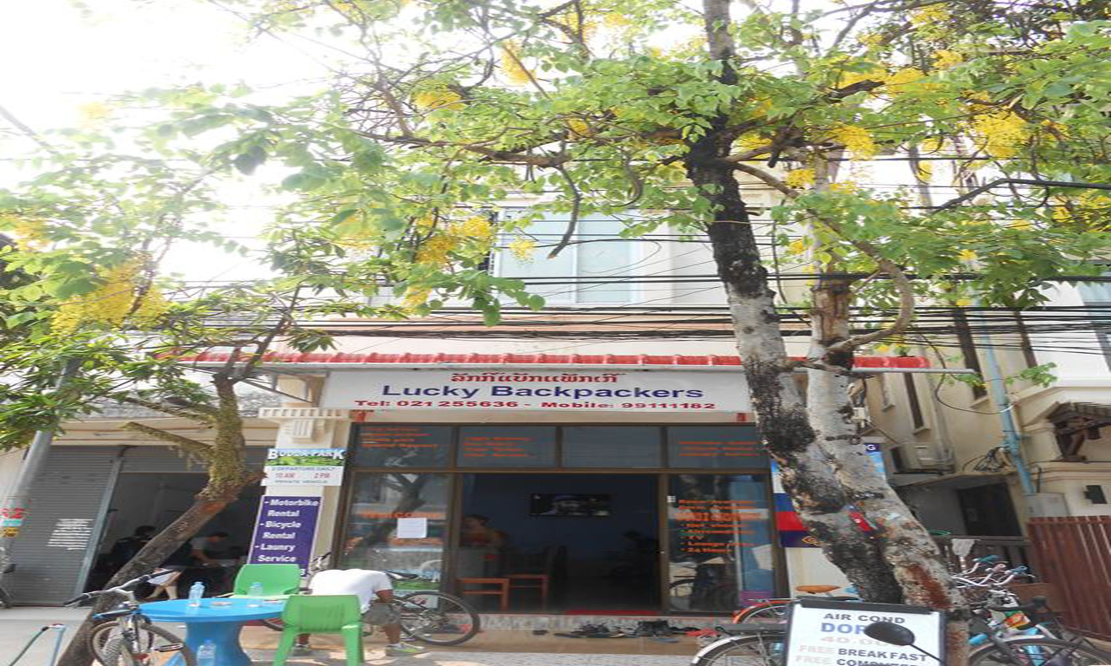 Foto - Lucky Backpacker Hostel