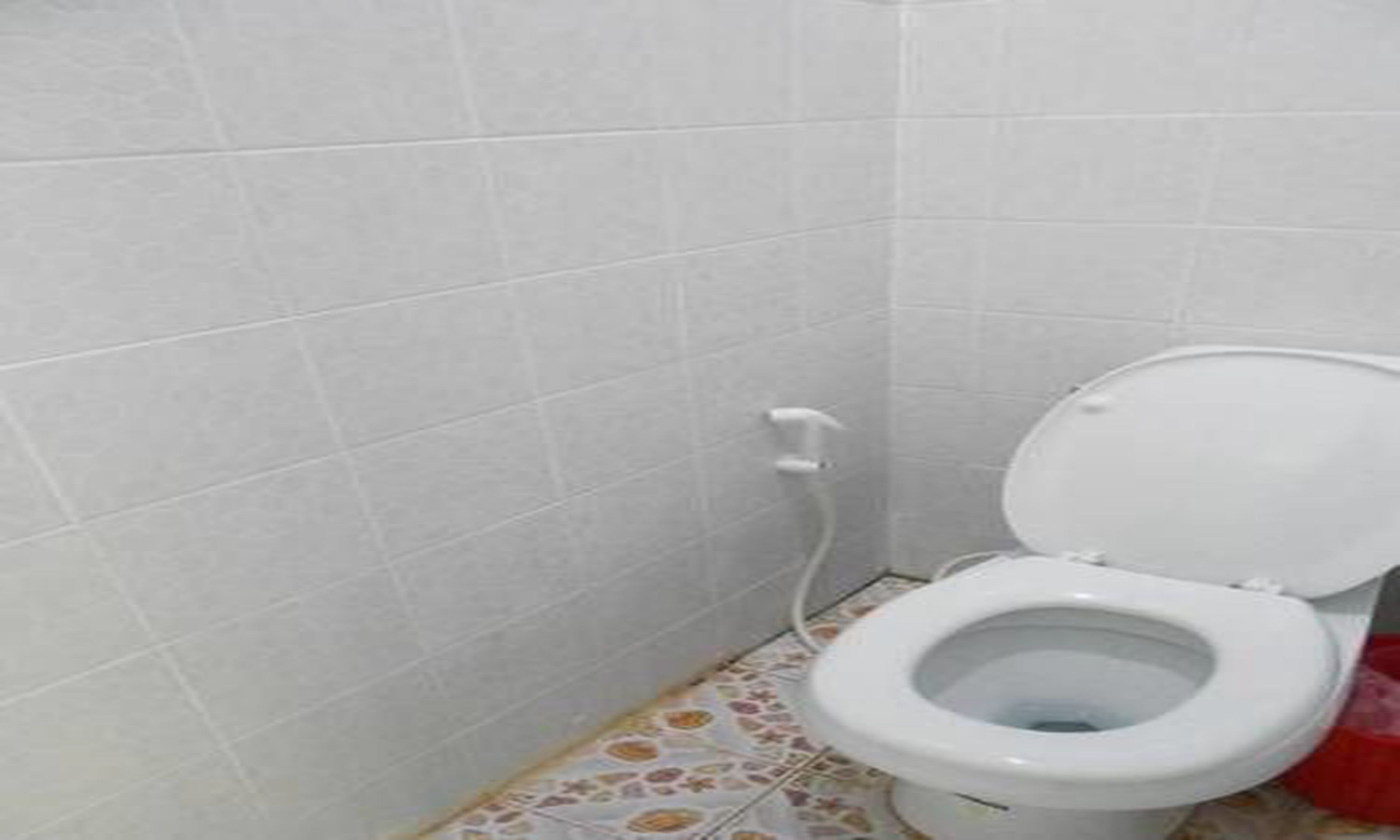 Foto - Lucky Backpacker Hostel