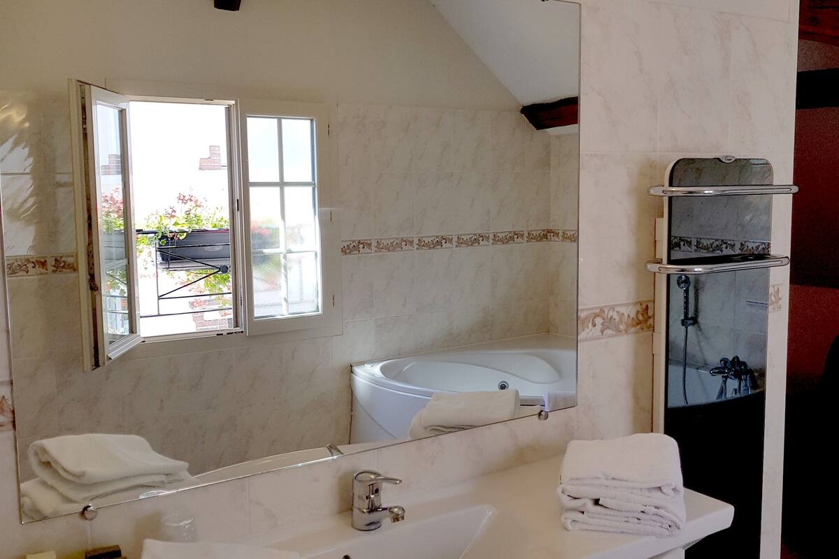 free toiletries, hair dryer, towels