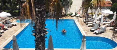 Una piscina rectangular con sillas de descanso y sombrillas alrededor, una palmera en primer plano y un edificio con tejado de tejas rojas al fondo.
