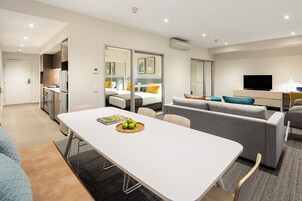 Flat-screen TV, Netflix, pay films