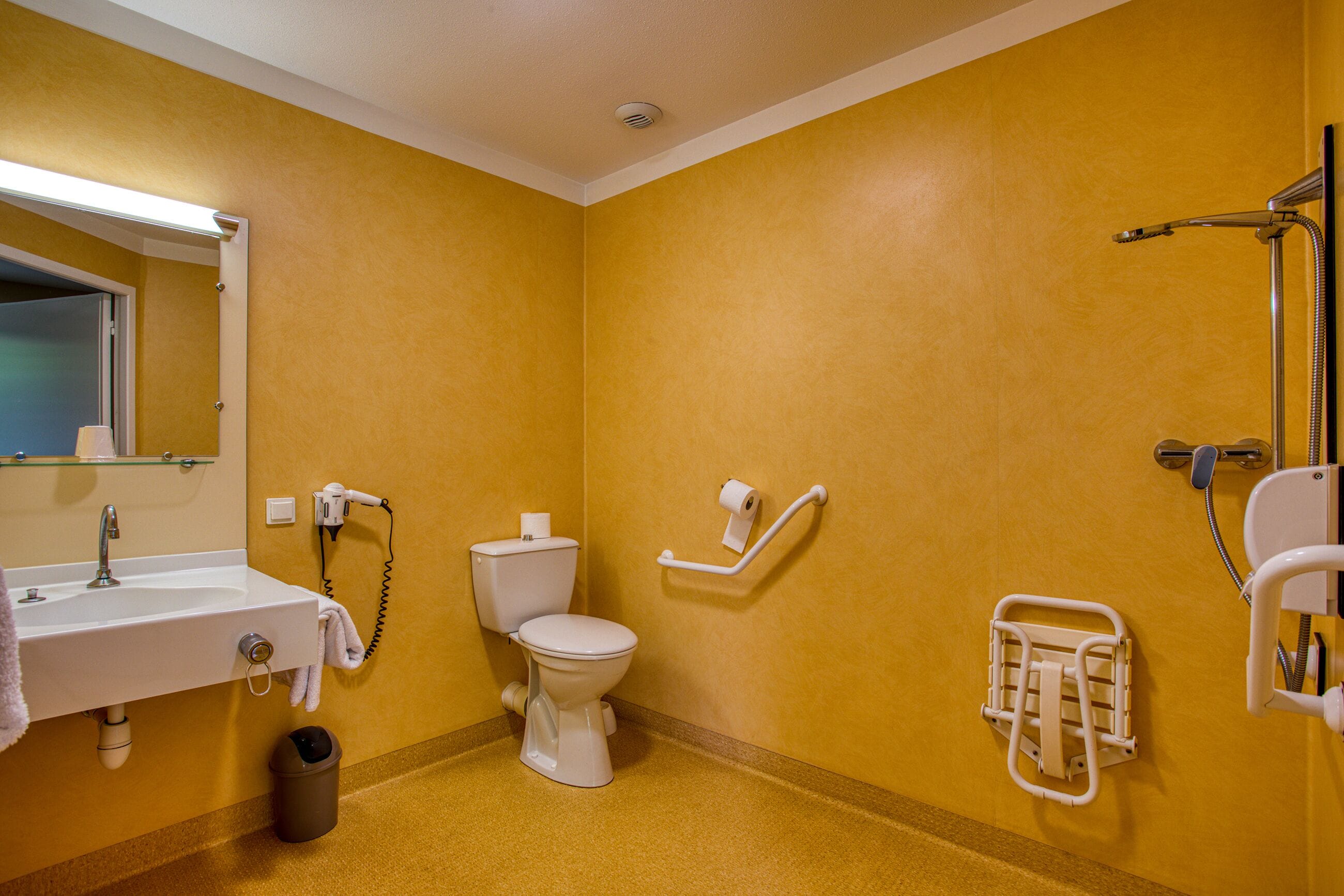 twin room, accessible | bathroom | shower, free toiletries, hair dryer, towels