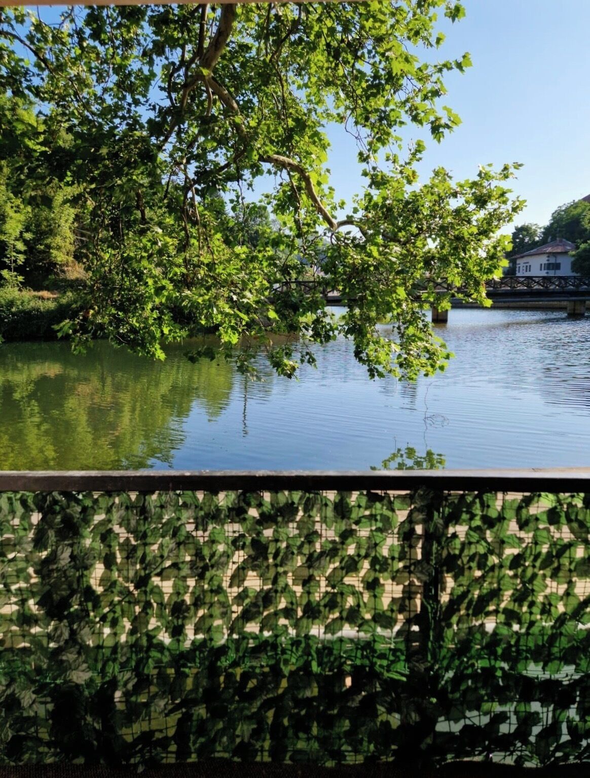 Foto - Pansion River