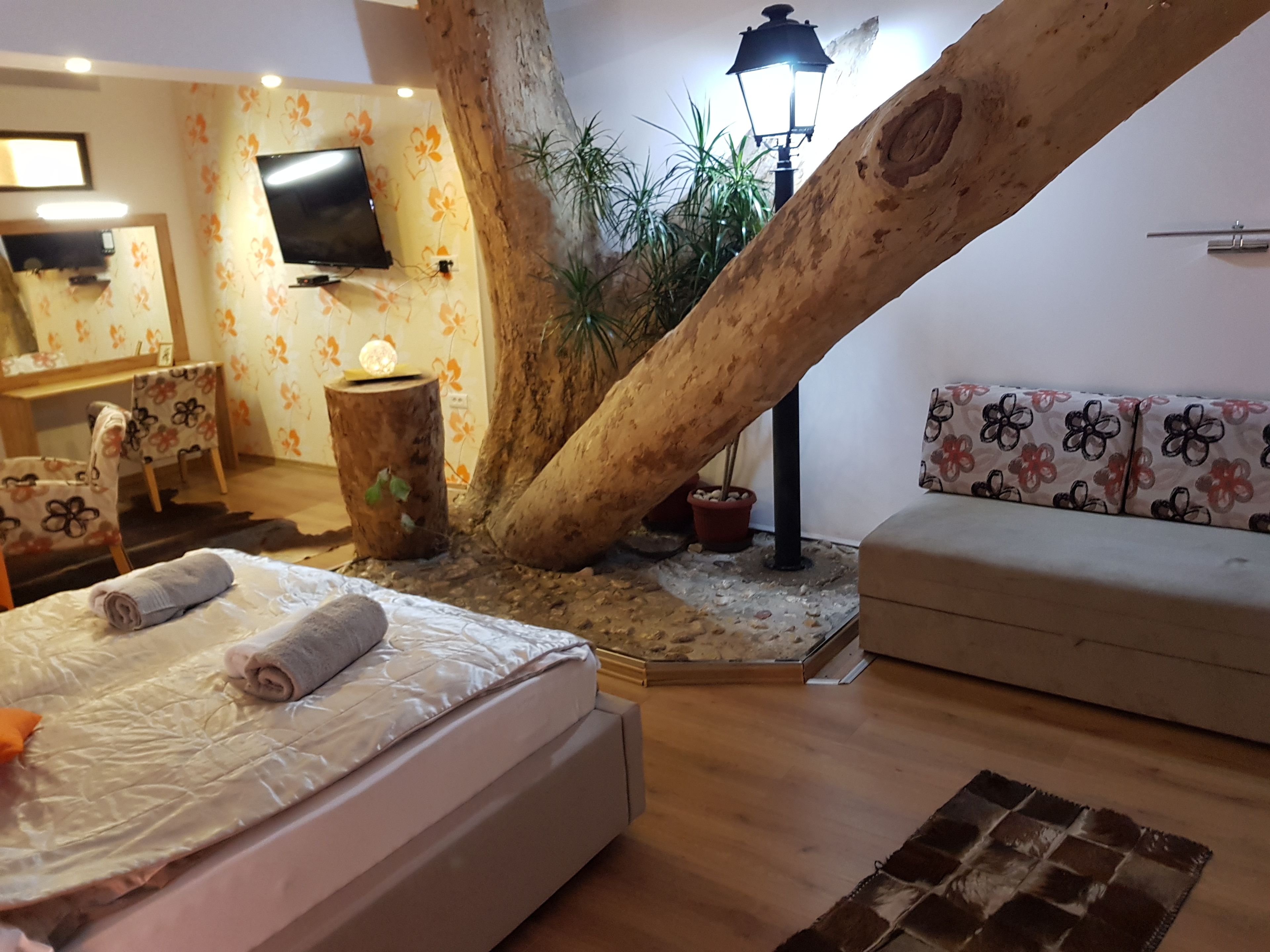 Foto - Pansion River