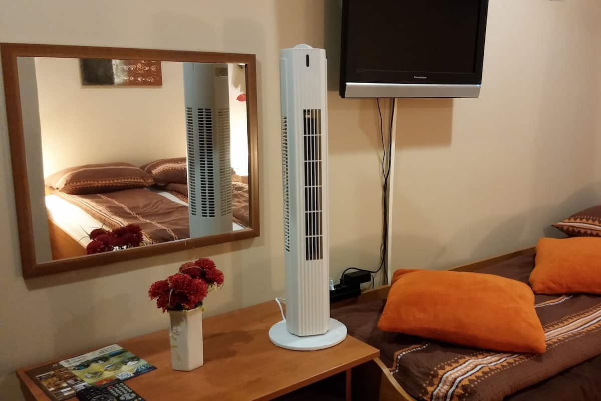 A bedroom with a bed, a standing heater, a flat-screen TV, and a table with a vase of flowers.