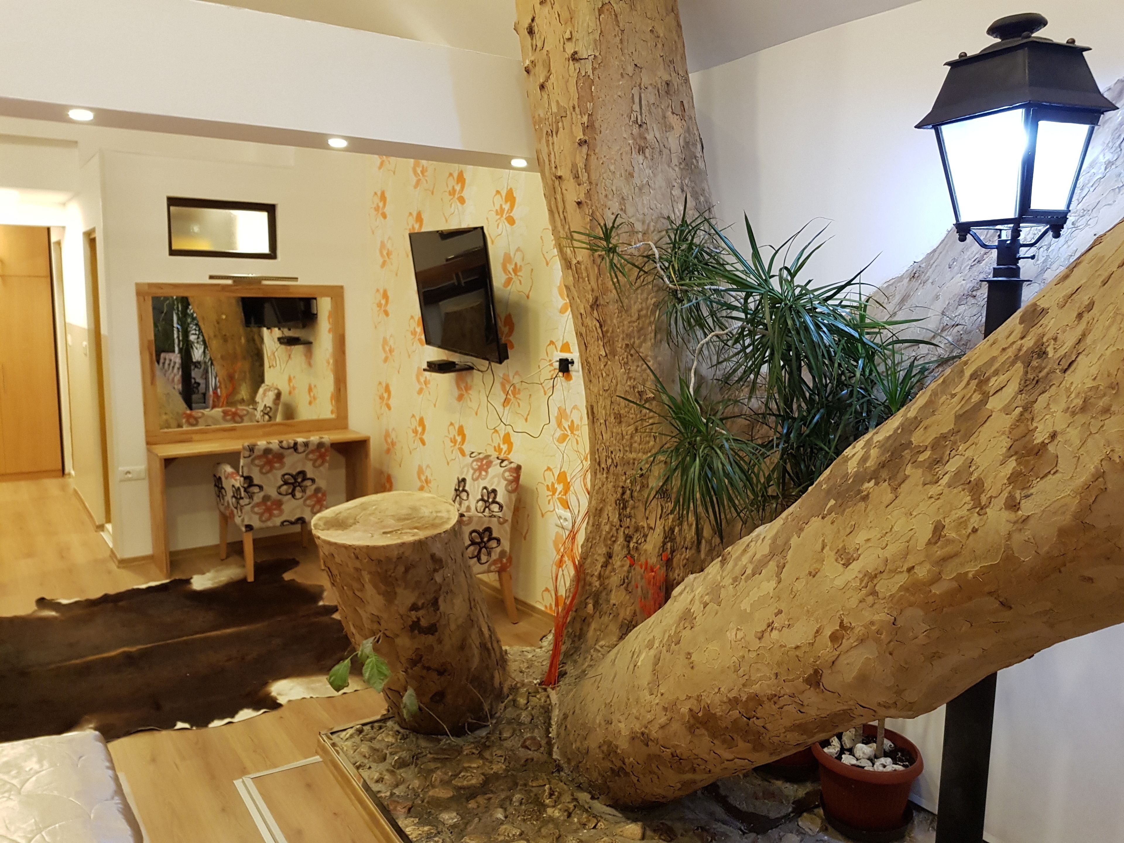 Foto - Pansion River