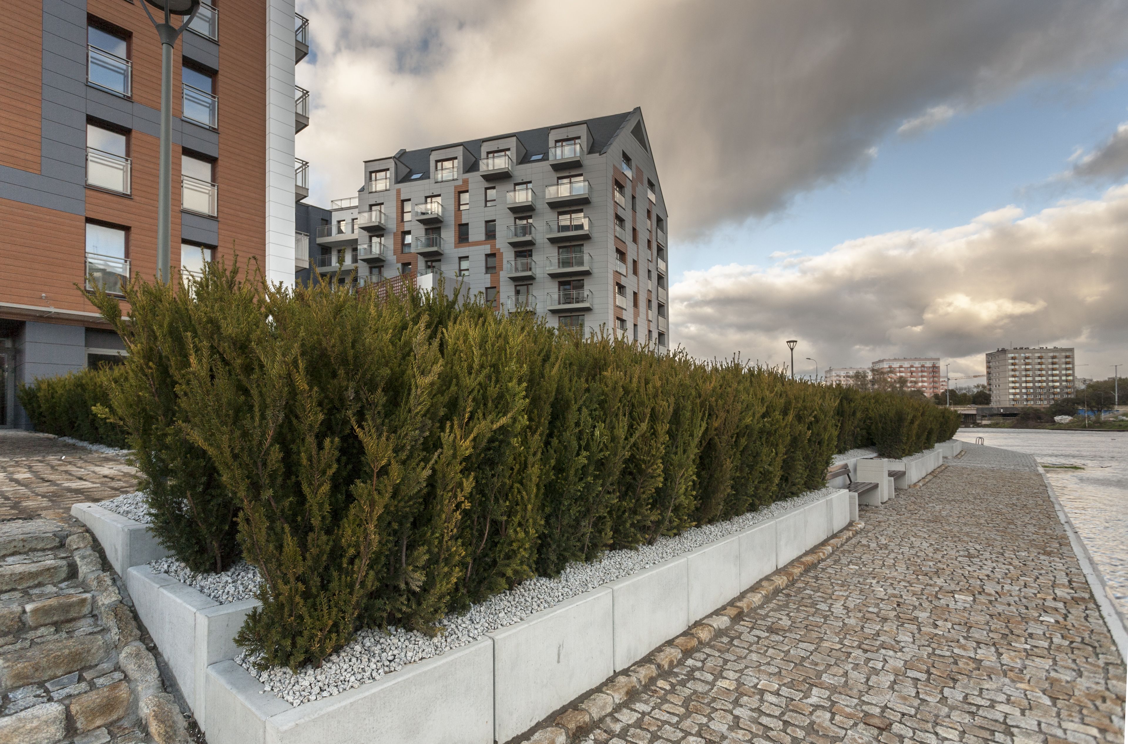 A modern apartment building with balconies, a stone pathway, and a row of evergreen shrubs.